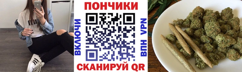 Купить  Пролетарск  Бошки Шишки ГИДРОПОН 